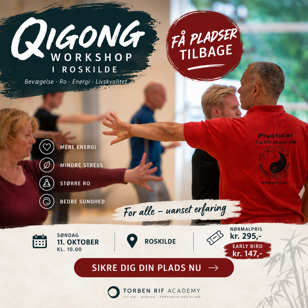 Qigong i Roskilde 3