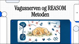 Vagusnerven univers