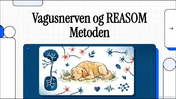 Vagusnerven univers