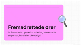 Hundens øre signaler