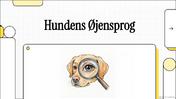Øjne hos hund
