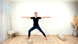 ashtanga den fulde serie