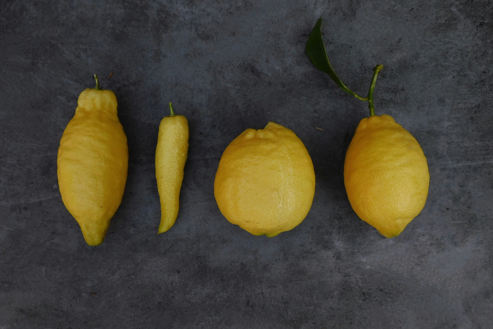 Four lemons sitting on a table