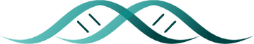 Double helix