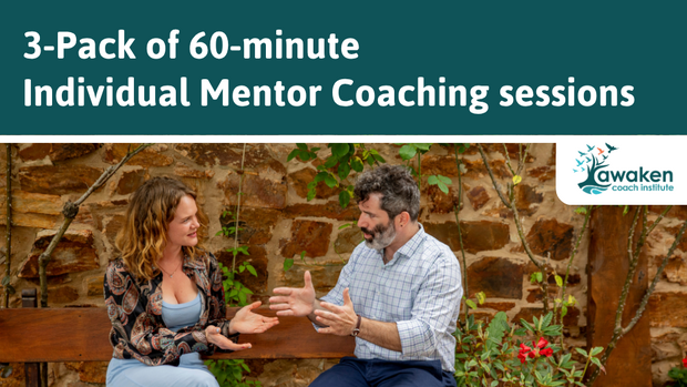 3-Pack of 60-minute Individual Mentor Coaching sessions(1)