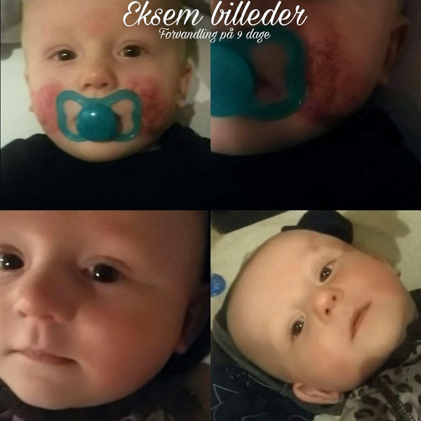 Codex-billede 23. sep. 2026, 14.06.18
