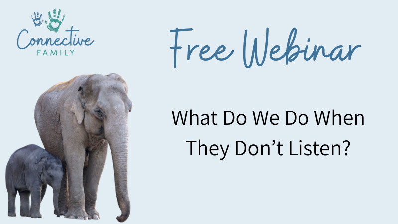 simplero free webinar (13)