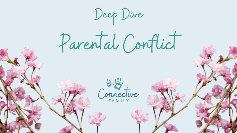 Simplero - Deep Dive (2)