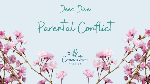 Simplero - Deep Dive (2)