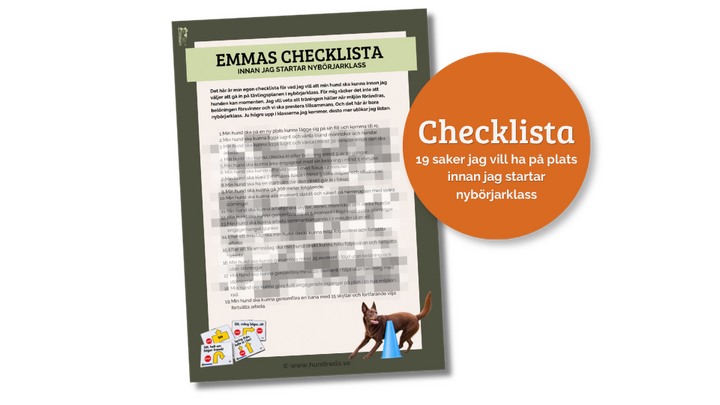 PDF Emmas checklista innan tävlingsstart