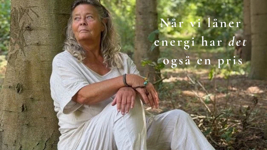 Når vi låner  energi har det  også en pris - Blog