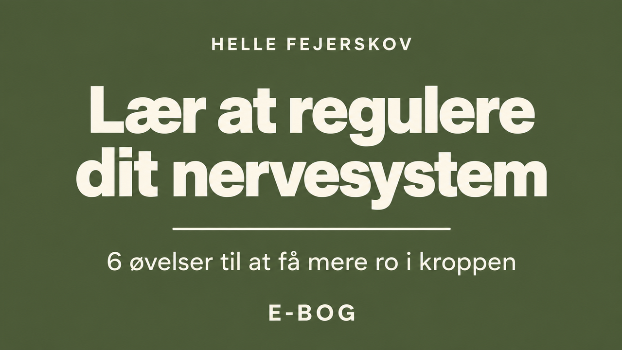 Coverbillede - E BOG Lær at regulere dit nervesystem