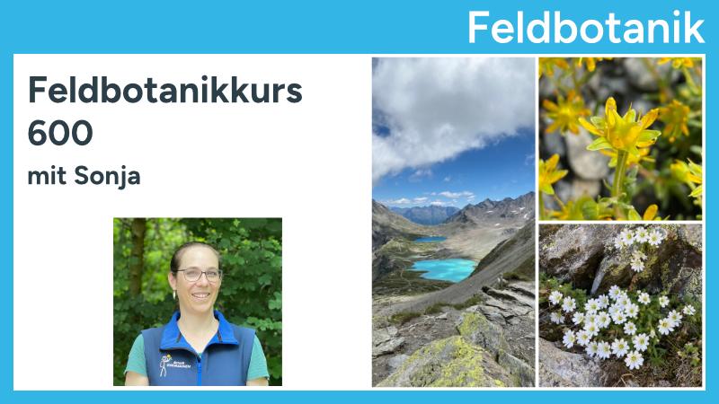 Feldbotanikkurs600_Sonja_Hassold_Produktbild