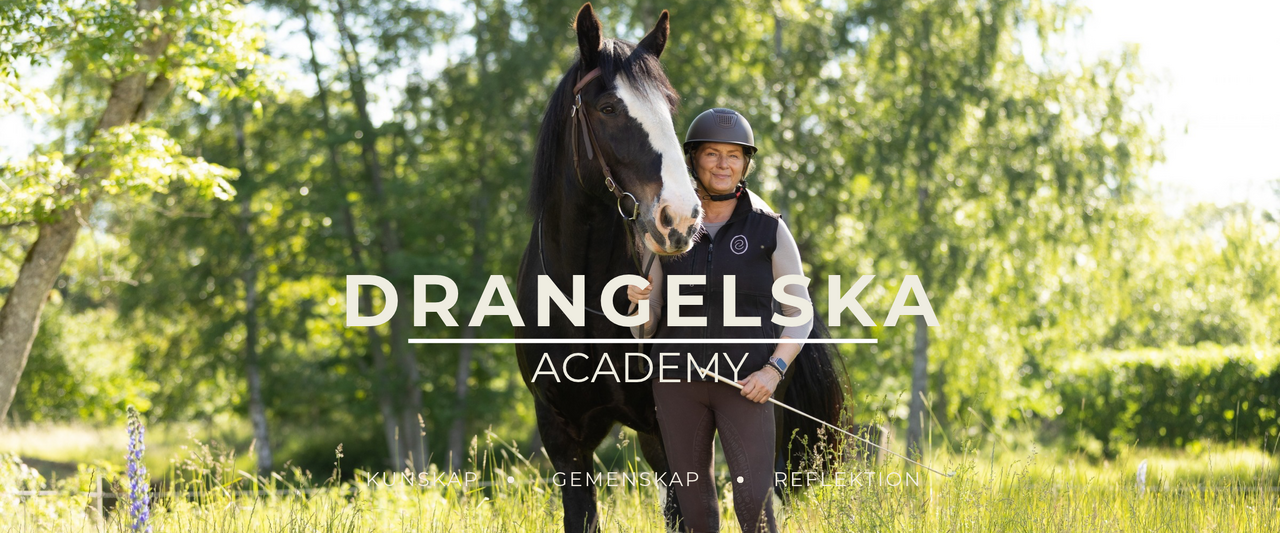 Drangelska Academy-2