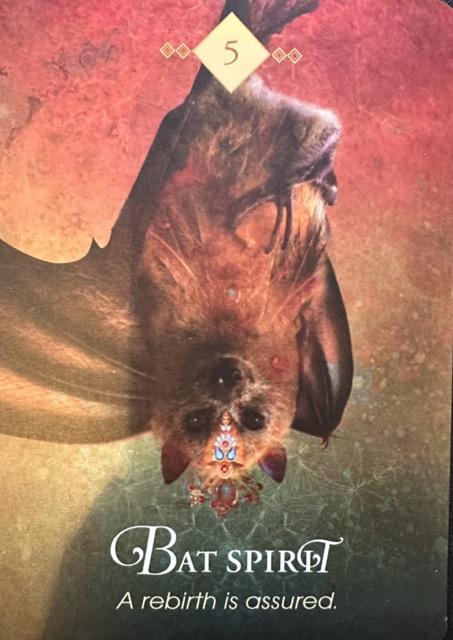 bat spirit oracle card from the spirit animal oracle