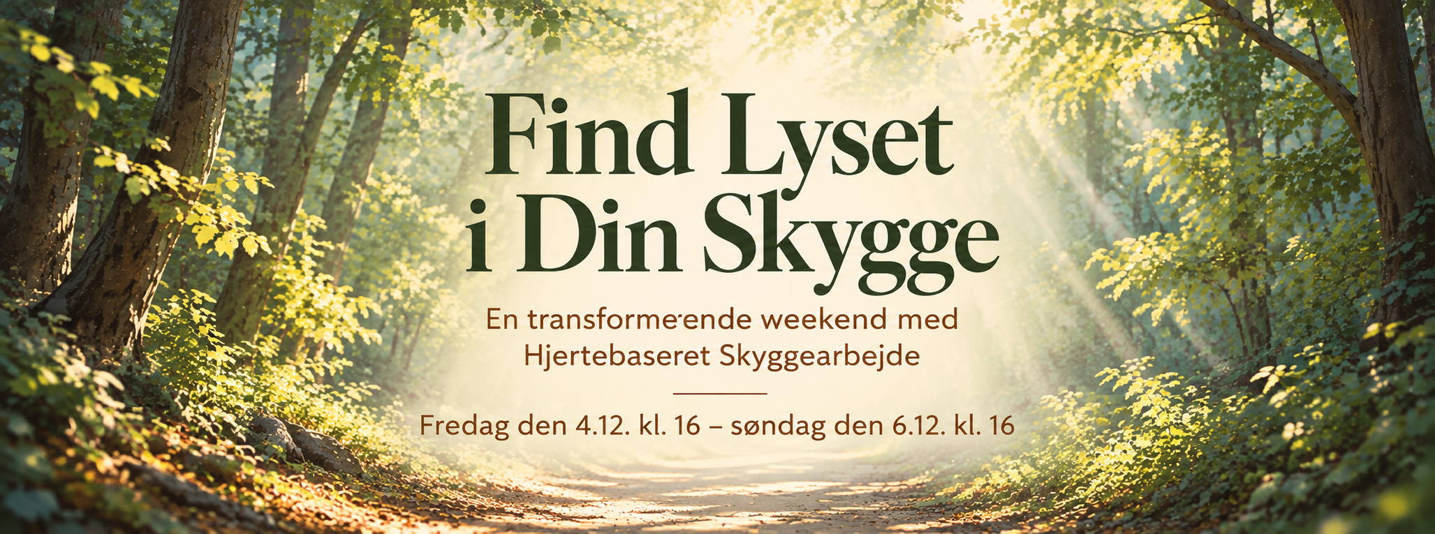 Cover 2 Find Lyset i Skovens Skygge