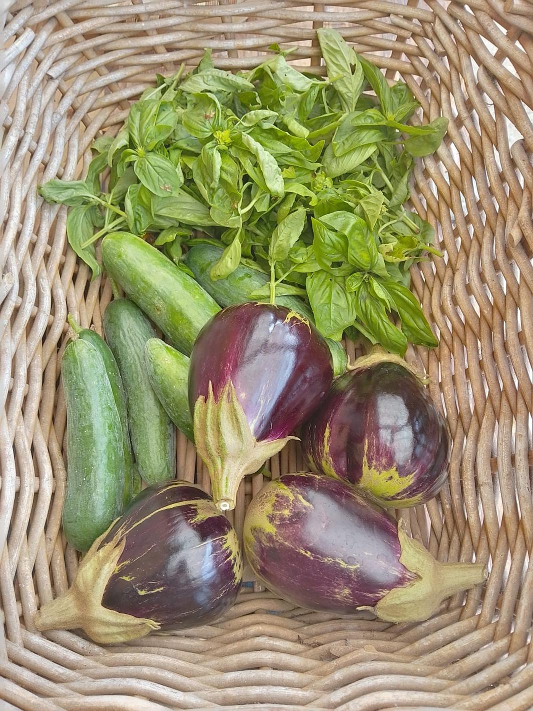 Growing For Life | Green Thumb Farm