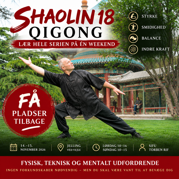 Shaolin 18 Qigong Weekend i Jelling
