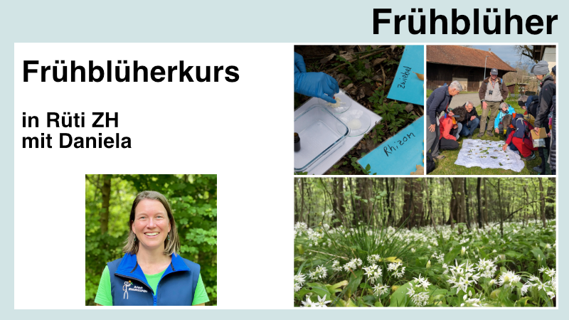 Fruehblueher-produktbild-daniela