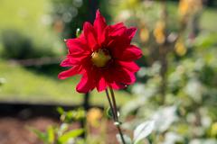 A7V06787-101