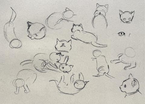kitten sketches