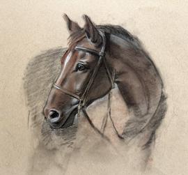 charcoal drawing of a horse