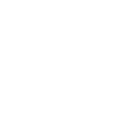 SIBO maze solved