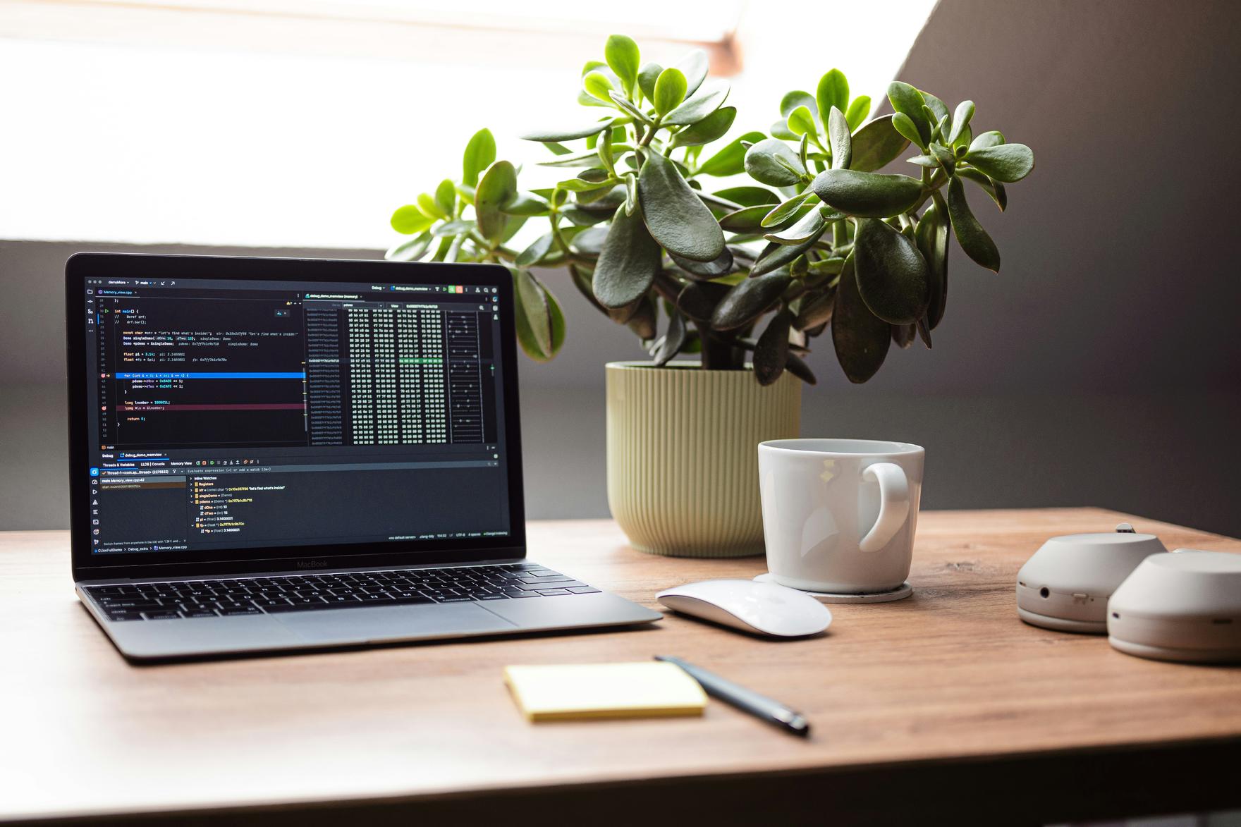Laptop with code, plant, and mug on desk