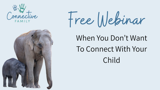 simplero free webinar (14)