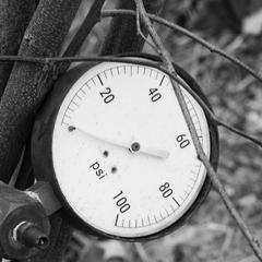 a thermometer attached to a tree branch in black and white