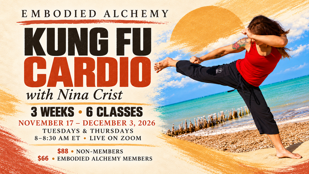 Beachside kung fu cardio cover