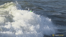 Kajakenergi - Bølger og Surf