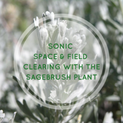 sagebrush sonic clearing