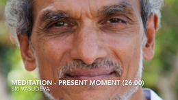 Sri Vasudeva Meditation The Present Moment (26 min)