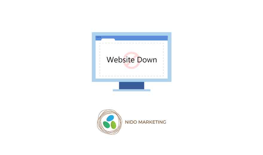 What to Do When Your Website Goes Down
