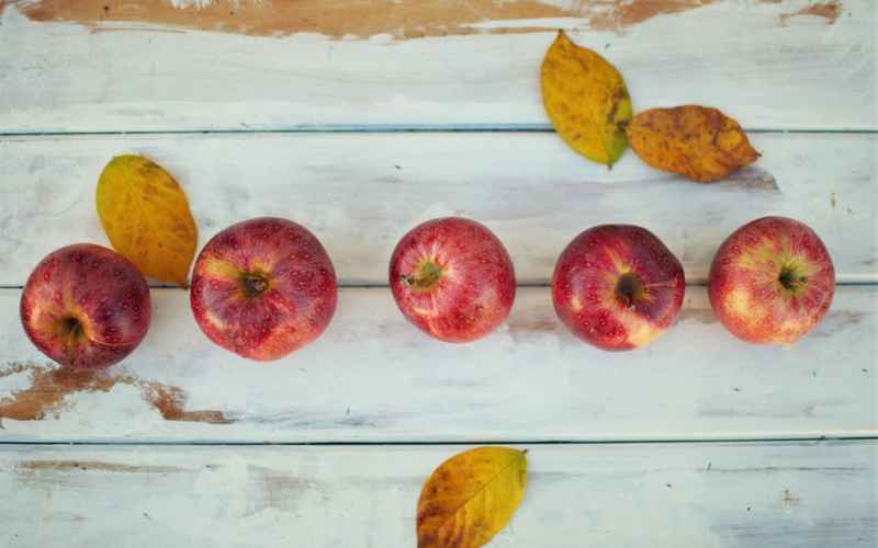 Image | Blog | Blank Image Apples & Leaves