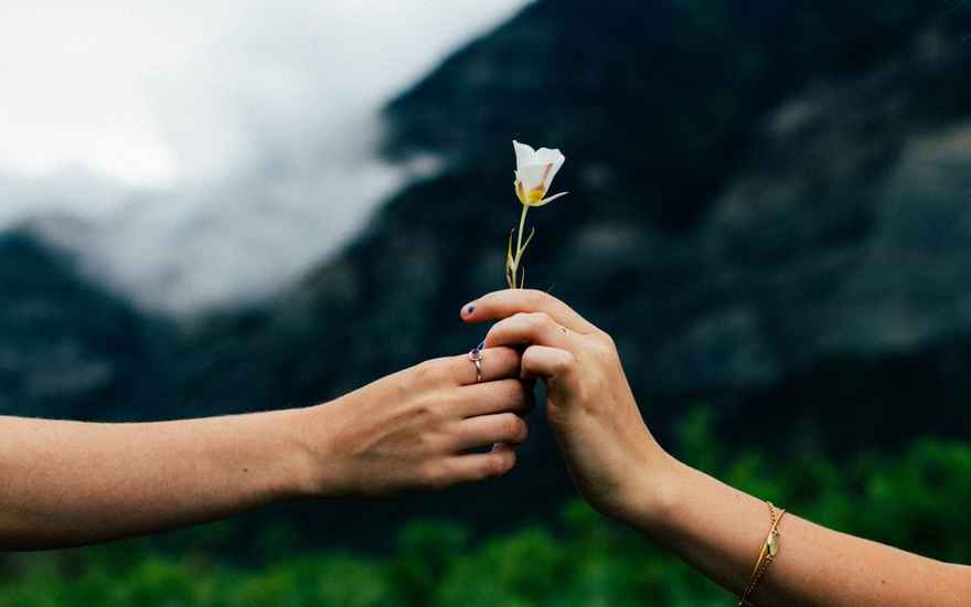 Image | Blog | Blank Image Hand Holding Flower