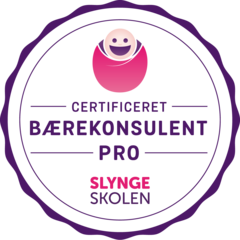 Baerekonsulent_logo_SlyngeSkolen_RGB