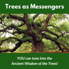 Trees_as_Messengers