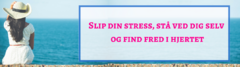 Fred_-_Slip_din_stress