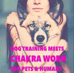 chakra-work-dogs_3