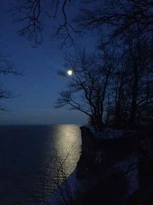  Fuldmånestillevandring på Camønoen - nærvær i Dark sky på Møns klint den 16 april