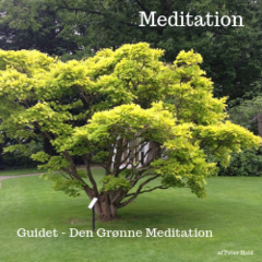 Den grønne Meditation (1)