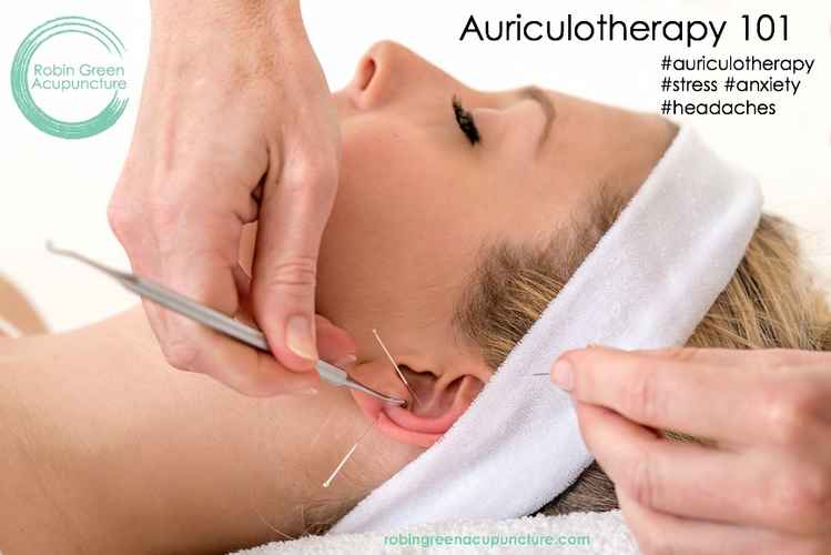 auriculotherapy-101-photo
