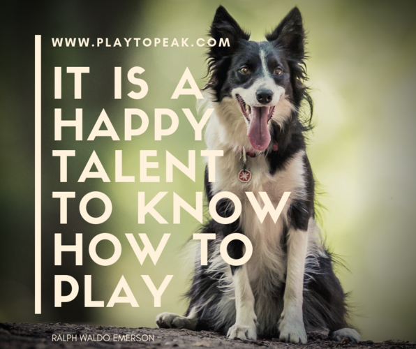 It is a happy talent to know how to play