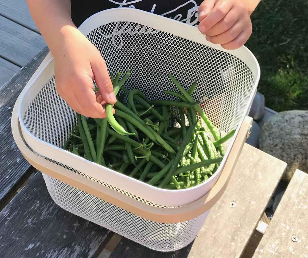 green beans basket
