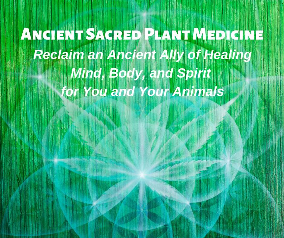Ancient Sacred Plant Medicine
