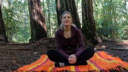 Light-Vibes-Network-Redwood-Meditation