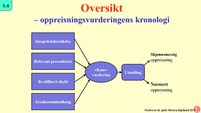 1.4 Oppreisningskurs Morten Kjelland grovredigert Jana (130119)c