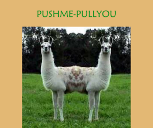PUSHME-PULLYOU.png